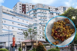 NGƯỜI ĐÀN ÔNG 60 TUỔI Ở ĐỒNG THÁP CÓ HÀNG TRĂM "VIÊN VÀNG" TRONG TÚI MẬT