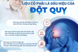 ​BẤT NGỜ ĐAU NỬA ĐẦU DỮ DỘI – LIỆU CÓ PHẢI LÀ DẤU HIỆU CỦA ĐỘT QUỴ? 