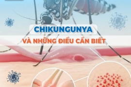 ​​CHIKUNGUNYA: TRIỆU CHỨNG, CÁCH PHÒNG NGỪA VÀ ĐIỀU TRỊ 