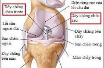VAI TRÒ NỘI SOI TRONG PHẪU THUẬT KHỚP GỐI