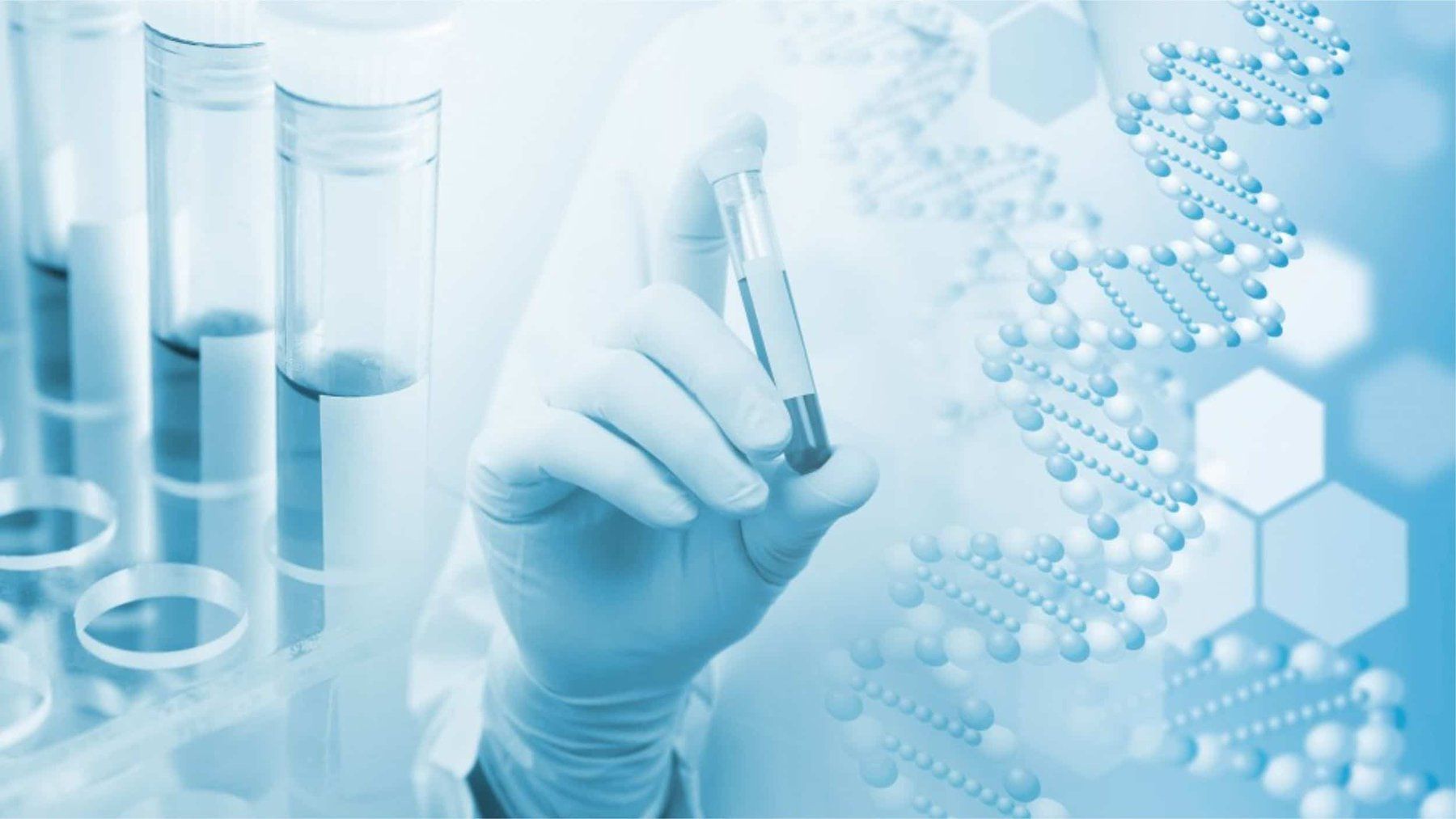 20191216_041515_513115_xet_nghiem_max_1800x1800_jpg_cb21e01151