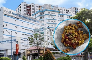 NGƯỜI ĐÀN ÔNG 60 TUỔI Ở ĐỒNG THÁP CÓ HÀNG TRĂM "VIÊN VÀNG" TRONG TÚI MẬT