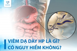 VIÊM DẠ DÀY HP LÀ BỆNH GÌ? NGUYÊN NHÂN, TRIỆU CHỨNG VÀ CÁCH ĐIỀU TRỊ